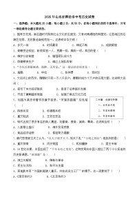 2025年山东省潍坊市中考历史真题（含答案）