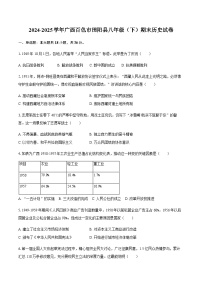 2024-2025学年广西百色市田阳县八年级（下）期末历史试卷（含答案）