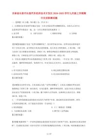吉林省长春市长春汽车经济技术开发区2024~2025学年九年级上学期期中历史试卷【有答案】