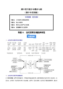 期中复习提分专题讲与练（期中专项训练）九年级历史上学期统编版练习+答案