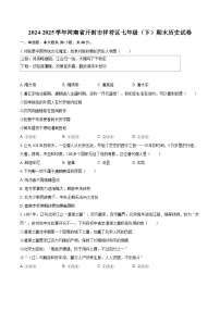2024-2025学年河南省开封市祥符区七年级（下）期末历史试卷-自定义类型
