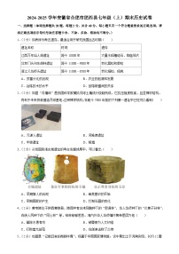 安徽省合肥市肥西县七年级上学期期末历史试卷-A4