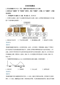 2025年安徽省合肥市第四十五中学中考一模历史试题（解析版）-A4