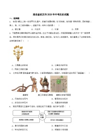 湖北省武汉市2025年中考历史试题附真题答案