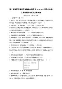 湖北省襄阳市襄州区乡镇初中教联体2024-2025学年七年级上学期期中考试检测题历史试卷（学生版）