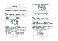 广西钦州市浦北县2025-2026学年八年级上学期期中检测历史试题