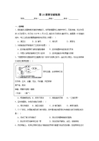 初中历史人教版（2024）九年级上册探寻新航路同步测试题