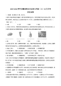 2025-2026学年安徽省淮北市五校七年级（上）10月月考历史试卷（含答案）