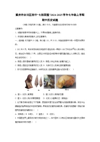 重庆市合川区初中“七校联盟”2024-2025学年七年级上学期期中历史试卷（学生版）