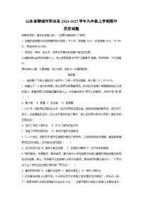 山东省聊城市阳谷县2024-2025学年九年级上学期期中历史试卷（学生版）