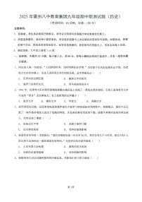 广东省湛江市雷州八中教育集团2025-2026学年九年级上学期11月期中历史试题