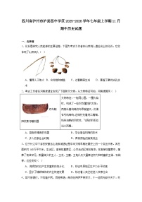 四川省泸州市泸县四中学区2025-2026学年七年级上学期11月期中 历史试题（含解析）