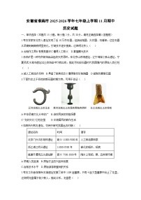 2025-2026学年安徽省淮南市七年级上学期11月期中历史试题（学生版）