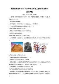 湖南省娄底市2025-2026学年九年级上学期11月期中历史试卷（学生版）
