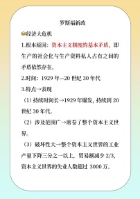 初中历史人教版（2024）九年级下册罗斯福新政导学案