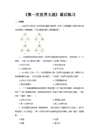 历史九年级下册第一次世界大战教学设计