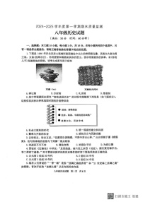 山东省泰安市宁阳县（五四学制）2024-2025学年八年级上学期期末考试历史试题