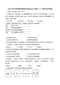 2025-2026学年湖北省武汉市洪山区七年级（上）期中历史试卷-自定义类型