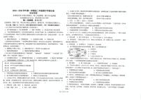 河北省石家庄市第十七中学2025-2026学年八年级上学期12月期中历史试题