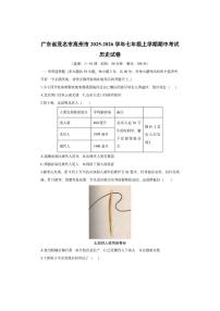 广东省茂名市高州市2025-2026学年七年级上学期期中考试历史试卷（学生版）