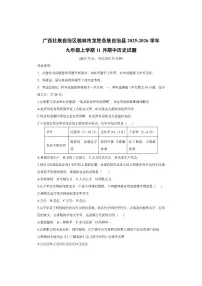 广西壮族自治区桂林市龙胜各族自治县2025-2026学年九年级上学期11月期中历史试卷（学生版）