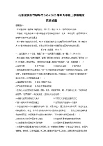 山东省滨州市邹平市2024-2025学年九年级上学期期末历史试卷（学生版）