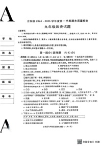 陕西省渭南市合阳县2024-2025学年九年级上学期1月期末历史试题