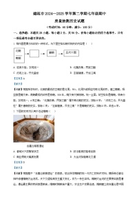 福建省南平建瓯市七年级下学期期中历史试题（解析版）-A4