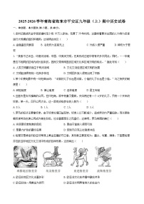 2025-2026学年青海省海东市平安区九年级（上）期中历史试卷-自定义类型