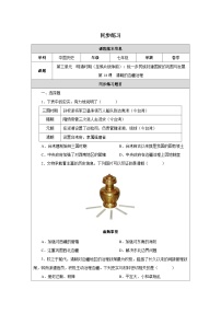 人教版（2024）七年级下册（2024）清朝的边疆治理随堂练习题