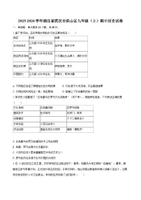 2025-2026学年湖北省武汉市洪山区九年级（上）期中历史试卷-自定义类型