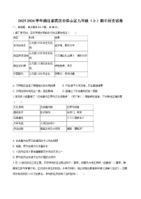2025-2026学年湖北省武汉市洪山区九年级（上）期中历史试卷-自定义类型