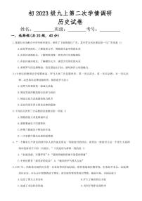 四川省南充市启睿实验学校2025-2026学年上学期九年级期中历史试卷（含答案）