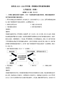 2025-2026学年度河南省洛阳市汝阳县九年级上学期1月期末历史试题（解析版）
