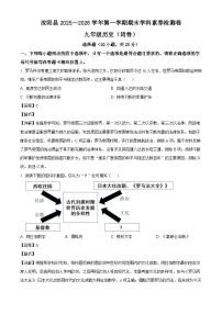 2025-2026学年度河南省洛阳市汝阳县九年级上学期1月期末历史试题（解析版）