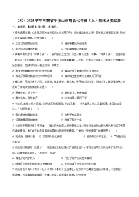 2024-2025学年河南省平顶山市郏县七年级（上）期末历史试卷-自定义类型