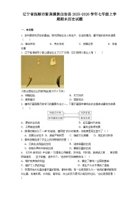 辽宁省抚顺市新宾满族自治县2025-2026学年七年级上学期期末历史试题（解析版）
