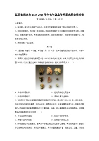 2025-2026学年江苏省南京市七年级上学期期末模拟卷历史试卷（学生版）