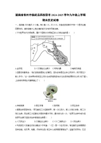 2024-2025学年湖南省彬州市临武县两校联考九年级上学期期末历史试卷（学生版）