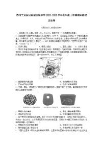 江苏省苏州市苏州工业园区星浦实验中学2025-2026学年七年级上学期期末测试历史卷（含答案）