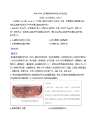 河南省平顶山市鲁山县第六教研区2025-2026学年上学期期末联考七年级历史试卷（解析版）