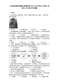 2025—2026学年度山东省济南市槐荫区泉新学校九年级上学期12月历史月考试题