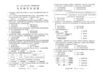 2025-2026学年广东省化州市九年级上学期历史期末试题（含答案）