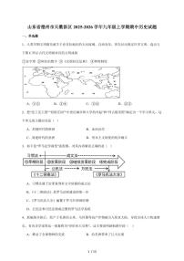 山东省德州市天衢新区2026届九年级上册期中考试历史试卷（含答案）