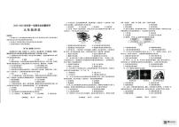 河南省濮阳市2025—2026学年第一学期期末学业质量测评九年级历史试卷