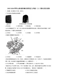 2025-2026学年山东省济南市济阳区九年级（上）期末历史试卷-自定义类型