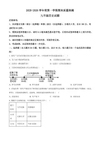 陕西省渭南市合阳县2025-2026学年九年级上学期1月期末历史试题（试卷+解析）