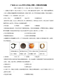2025-2026学年广东省七年级上学期1月期末历史试卷（学生版）