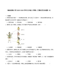 2025—2026学年度海南省海口市九年级上学期期末考试历史试题（含答案）（B）