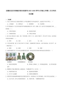 2025-2026学年安徽省安庆市桐城市部分校联考七年级上学期1月月考历史试卷（含答案）